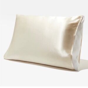 Silked Satin Travel Pillow Sleeve Cream Gold Hair Skin Care FabFitFun New